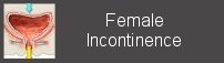 female incontinence