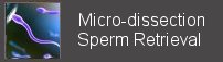 micro- dissection sperm retrieval