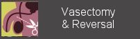 Vasectomy, Vasectomy reversal